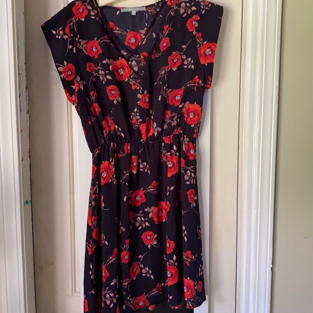 Women / teen dress